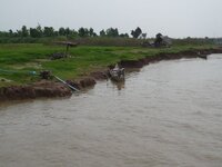 k-p1040867.jpg
