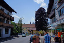 dsc08217.jpg