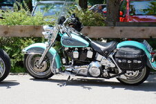 dsc08235.jpg