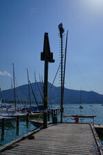 dsc08286.jpg