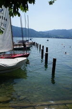 dsc08297.jpg