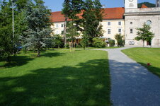 dsc08304.jpg