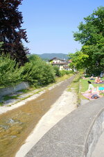 dsc08328.jpg