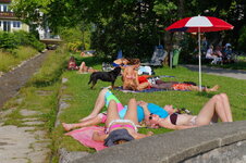 dsc08332.jpg