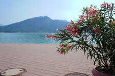 dsc08336.jpg