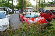 dsc08369.jpg