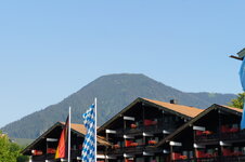 dsc08428.jpg