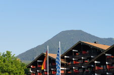 dsc08429.jpg