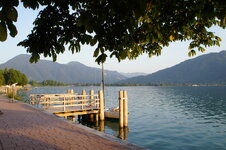 dsc08460.jpg