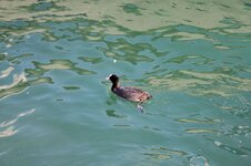 img_4310.jpg