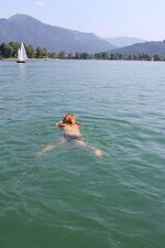 img_4288.jpg
