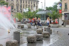 img_4390.jpg