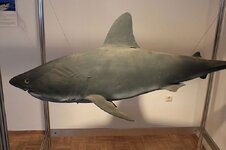 img_4452.jpg