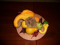 p1160532_fileminimizer.jpg