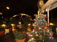 dsc00168_fileminimizer.jpg