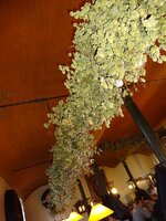 dsc00074_fileminimizer_21632.jpg dsc00074_fileminimizer_21632.jpg