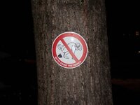 dsc01229_fileminimizer_975203.jpg