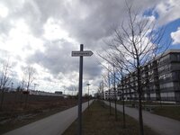 dsc06615001.jpg