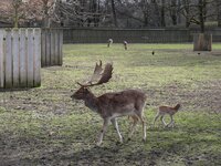 dsc06627001.jpg