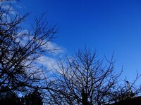 dsc06686_fileminimizer.jpg