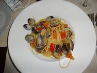 dsc06720001.jpg