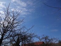dsc06803001.jpg