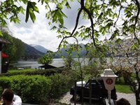 dsc07455001.jpg