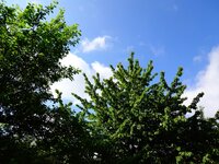dsc07603001.jpg