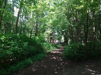 dsc07613001.jpg