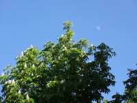 dsc07633001.jpg