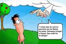 viewer10.jpg