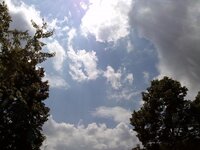 1053267_389493884488743_411960472_o.jpg