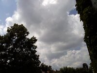 1009614_389493857822079_671941415_o.jpg