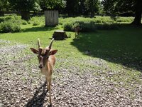 dsc09458001.jpg