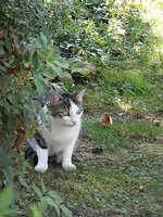 dsc02438001.jpg