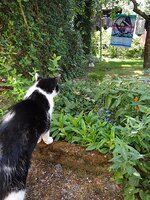 dsc02443001.jpg