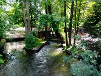 dsc02461001.jpg