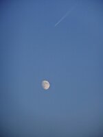 dsc02582001.jpg