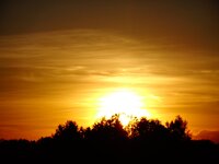 dsc02574001.jpg