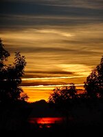 dsc02593001.jpg