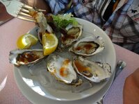 dsc03072001.jpg