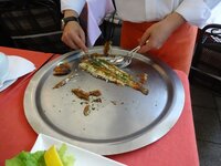 dsc03078001.jpg