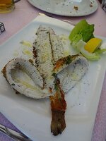 dsc03082001.jpg