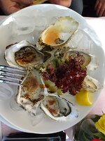 dsc03073001.jpg