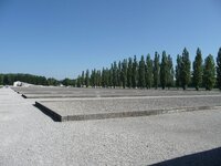 p1110217_fileminimizer_93959.jpg