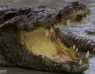 img_3096.jpg img_3096.jpg