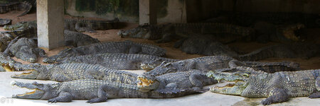 img_3099.jpg img_3099.jpg