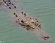 img_3100.jpg img_3100.jpg