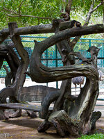 img_3101.jpg img_3101.jpg