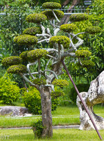 img_3102.jpg img_3102.jpg